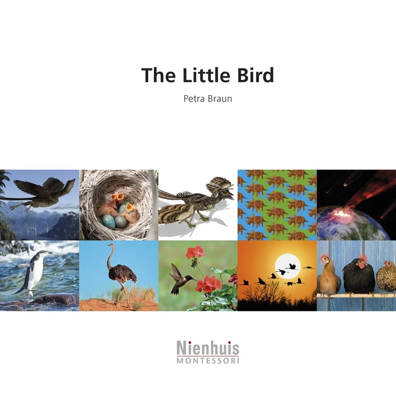 The Little Bird