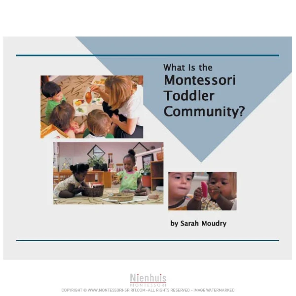 What Is The Montessori Toddler Community?
