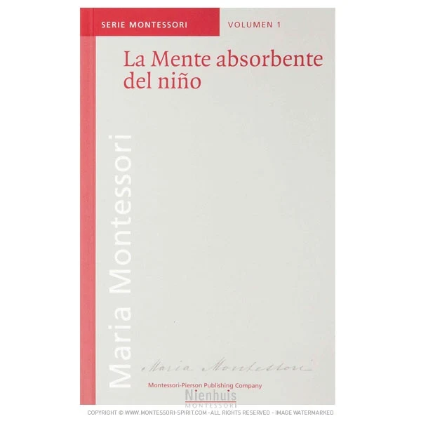 La Mente absorbente del nino
