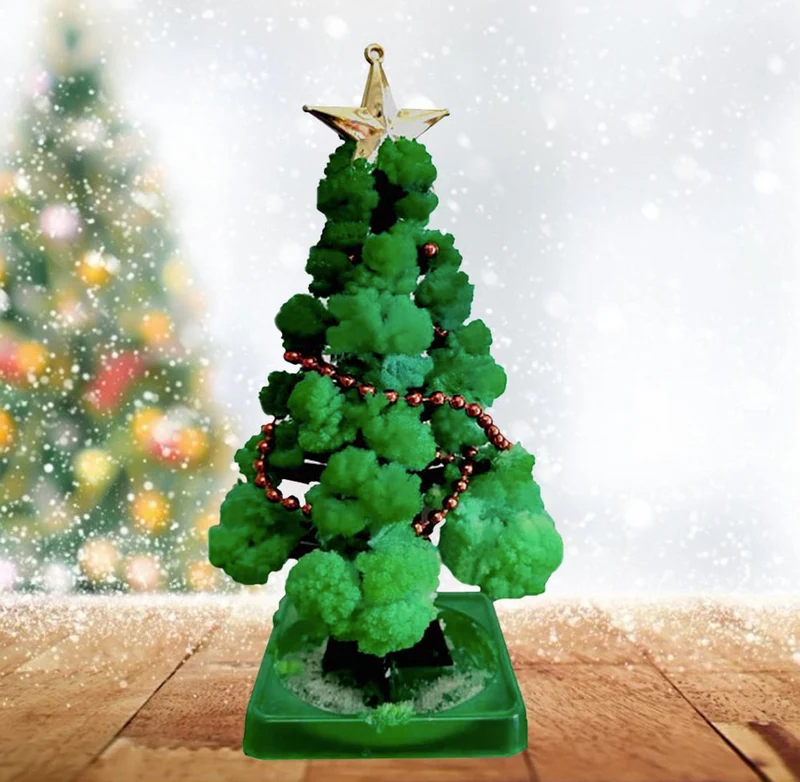 GrowTree | Odla din egen julgran! - Odlingsset för julgranar (1+1 GRATIS)