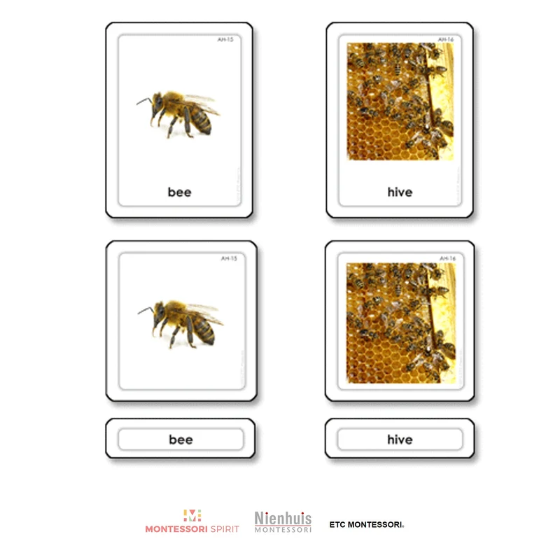 Animal Homes 3 Part Cards