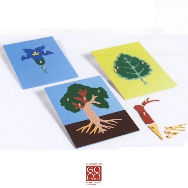 Ensemble de 3 puzzles de botanique