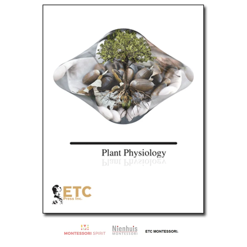 Plant Physiology
