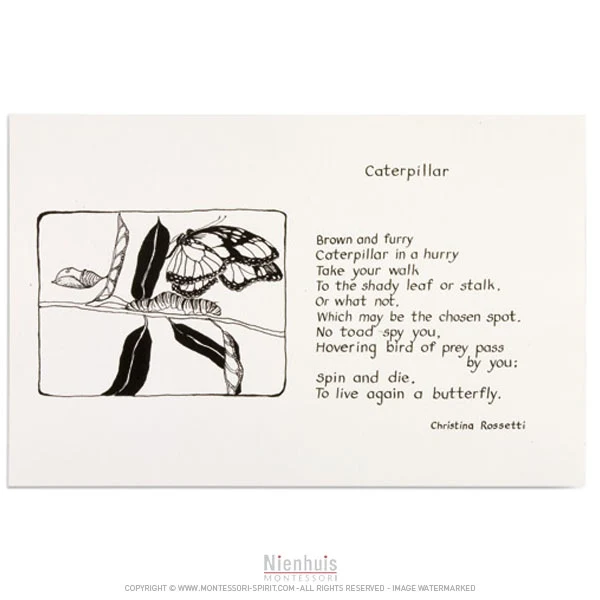 Illustrated Poems