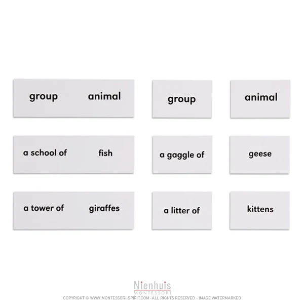 Animals And Their Groups