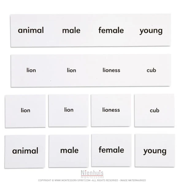 Animal Names