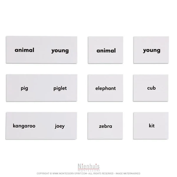 Animals And Their Young en anglais