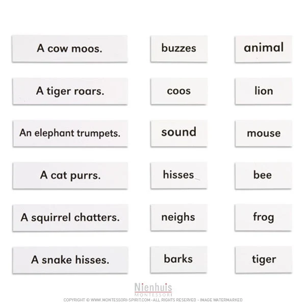 Animals And Their Sounds en anglais