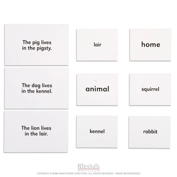 Animals And Their Homes en anglais