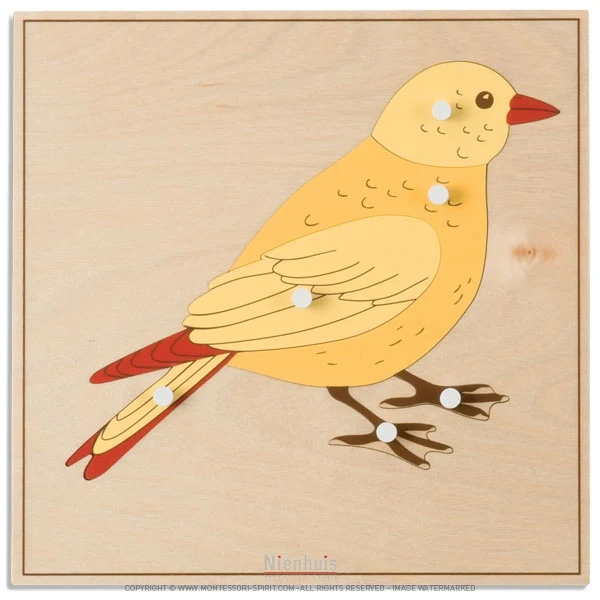 Puzzle animal : oiseau