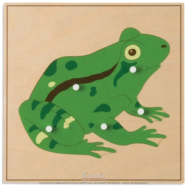 Puzzle animal : grenouille