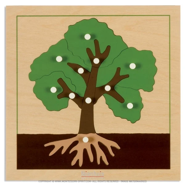 Puzzle de botanique : arbre