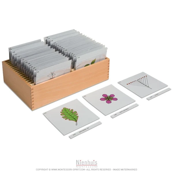 Boite de rangement troisième jeu de cartes de botanique