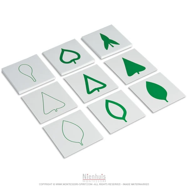 Cartes des feuilles d'arbre