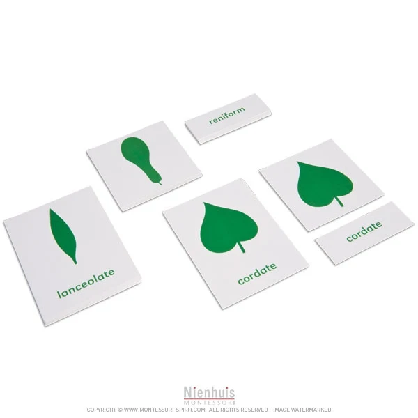 Cartes des éléments du cabinet de botanique en anglais