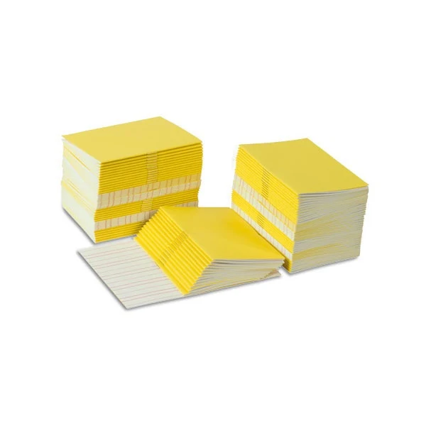 Livrets d'écriture jaunes x 100