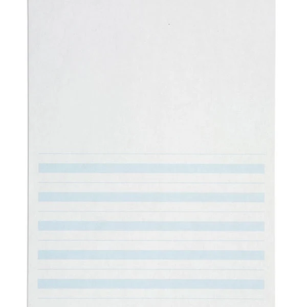Papier écriture ligne bleue x500