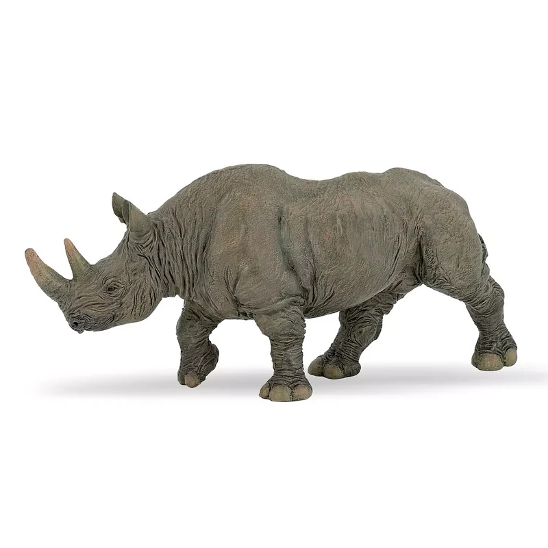 Black Rhinoceros