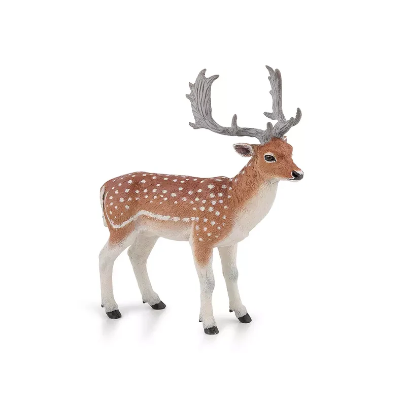Fallow Deer