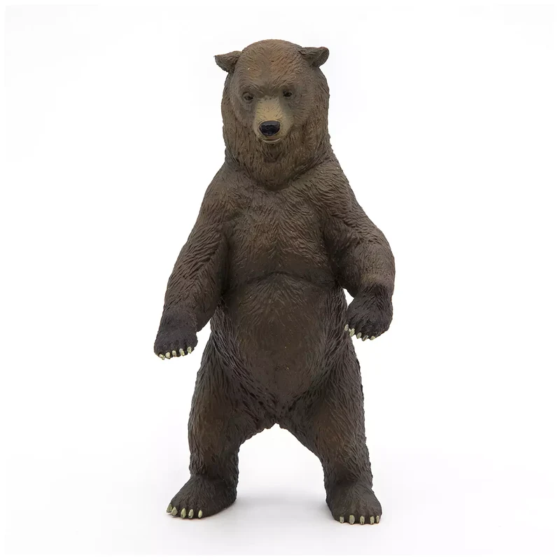 Grizzly Bear