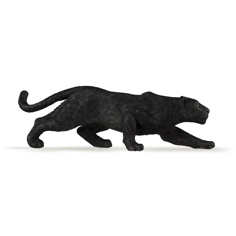 Black Leopard