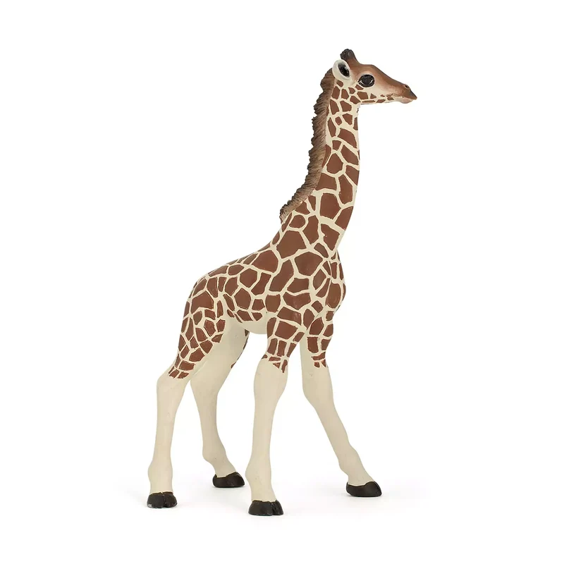 Giraffe calf