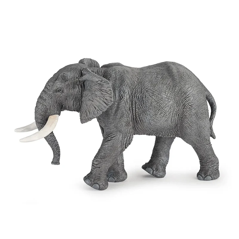 African Elephant