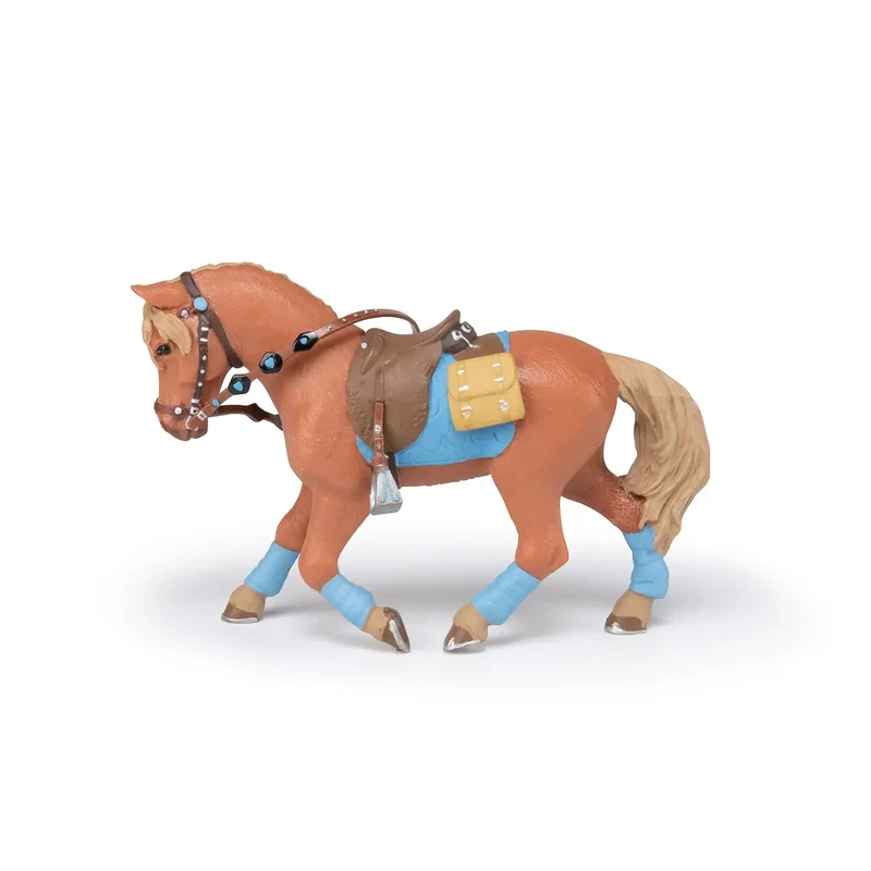 Young rider's horse