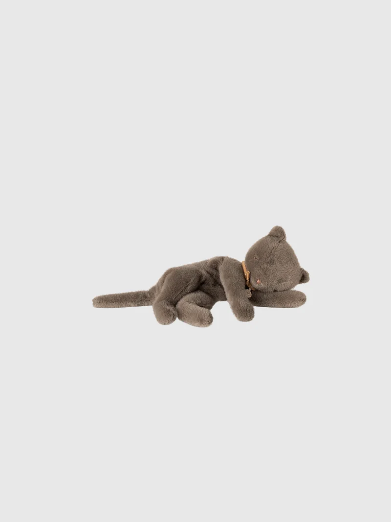 Sleeping kitten medium grå