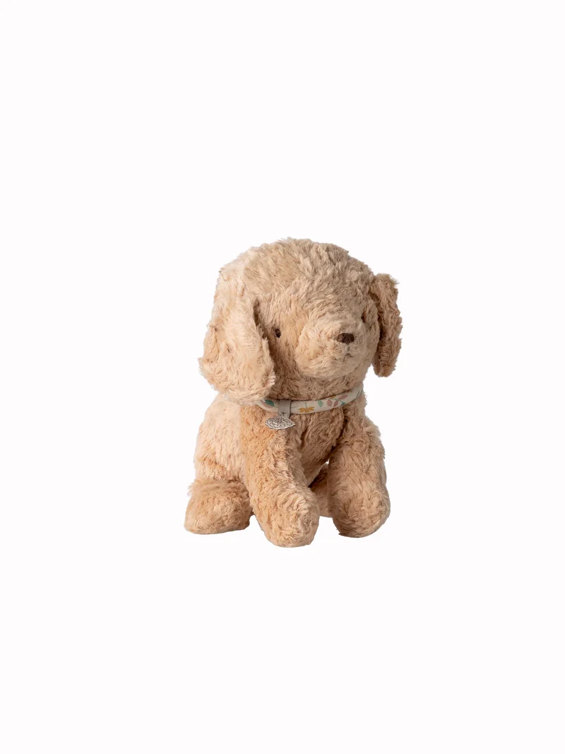 Puppy small, dusty powder