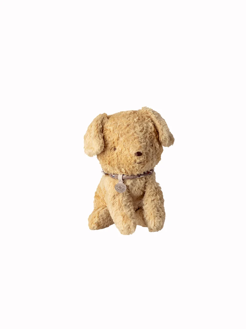 Puppy small, soft sand