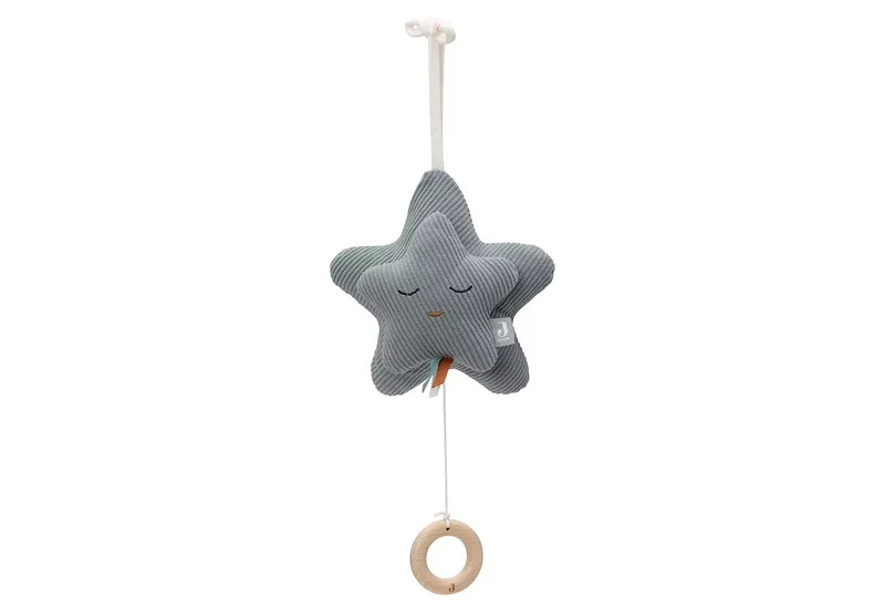 Speldosa Star Sea green