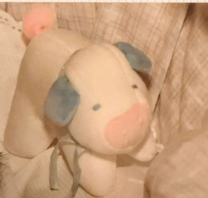 Custom pig replica plush from the photo home decor