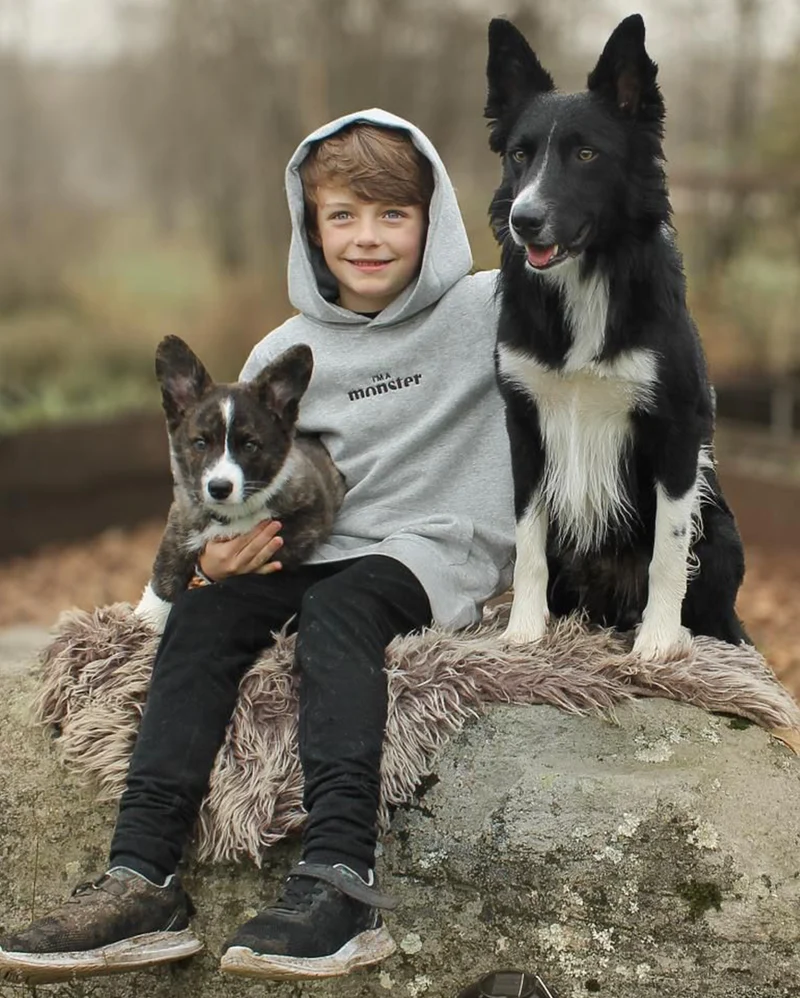 Hoodie Kids I'm a Monster Heather grey